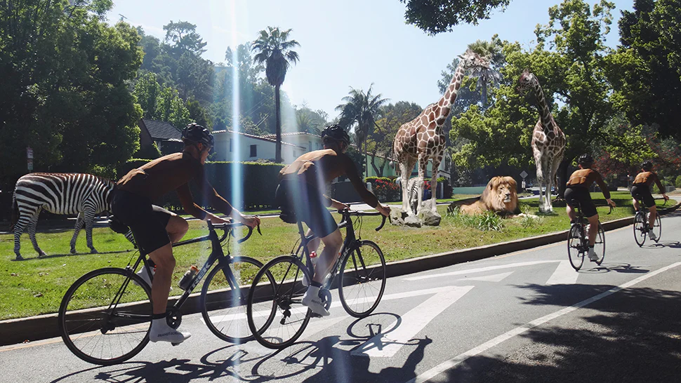 Welcome to Our Store